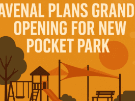 Avenal Plans Grand Opening for New Pocket Park Behind Boxing Club