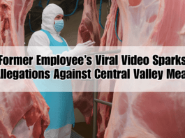Worker in full protective gear inspecting hanging beef carcasses inside a meat processing plant resembling the conditions described in a viral video alleging mistreatment at Central Valley Meat i