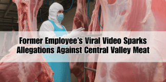 Worker in full protective gear inspecting hanging beef carcasses inside a meat processing plant resembling the conditions described in a viral video alleging mistreatment at Central Valley Meat i