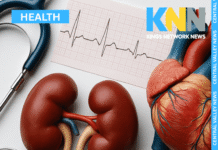 How Silent Kidney Damage Could Be Driving Your Blood Pressure Through the Roof