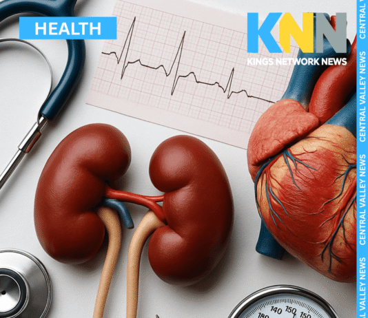 How Silent Kidney Damage Could Be Driving Your Blood Pressure Through the Roof