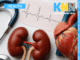 How Silent Kidney Damage Could Be Driving Your Blood Pressure Through the Roof