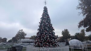 Classic Hanford Parade Route Returns with Univision and Plaza de Natividad Spanish Announced Team Classic Hanford Parade Route Returns with Univision and Plaza de Natividad Spanish Announced Team