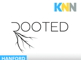 Rooted Opens in Hanford with Mixed Reviews as Residents Share Honest First Impressions