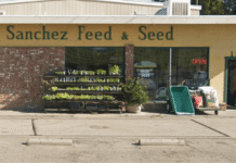 Sanchez Feed & Seed Inc. Announces Closure After 51 Years of Service Sanchez Feed & Seed Inc. Announces Closure After 51 Years of Service