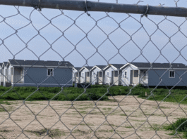 Five Years Waiting for a Home: Why Kings County’s Triangle Courtyard Still Hasn’t Housed Anyone Five Years Waiting for a Home: Why Kings County’s Triangle Courtyard Still Hasn’t Housed Anyone