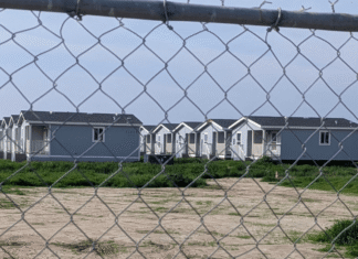 Five Years Waiting for a Home: Why Kings County’s Triangle Courtyard Still Hasn’t Housed Anyone Five Years Waiting for a Home: Why Kings County’s Triangle Courtyard Still Hasn’t Housed Anyone