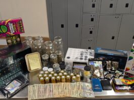 Cannabis and Illegal Fireworks Seized at Hanford Home, One Arrested Cannabis and Illegal Fireworks Seized at Hanford Home, One Arrested