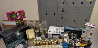 Cannabis and Illegal Fireworks Seized at Hanford Home, One Arrested