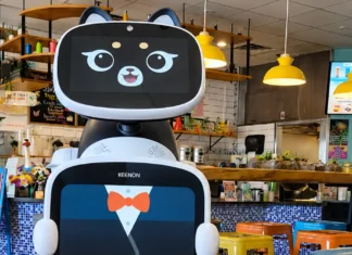 Aloha Express Introduces Kitty Robot Server in Visalia - Kitty robot server