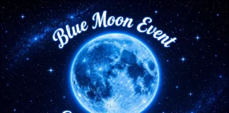 Blue Moon Market to Bring Art, Music and Family Fun to Downtown Hanford - Blue Moon Market Hanford