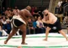 How Sumo Wrestling Helped Change Matthew Westwood's Life