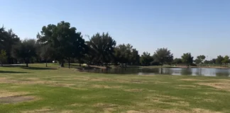 Hanford Voters Reject Measure T Hotel Tax Increase, City Already Considering New Tax Options for Parks