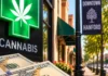 Cannabis Revenue: Where Is the Money Going? Cannabis Revenue: Where Is the Money Going?